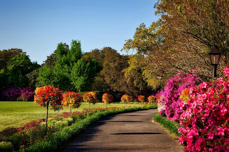 Commercial Landscaping